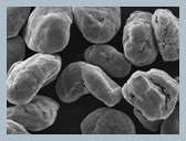 بطاريات الليثيوم أيون Hensen Graphite Anode Material عالية النقاء